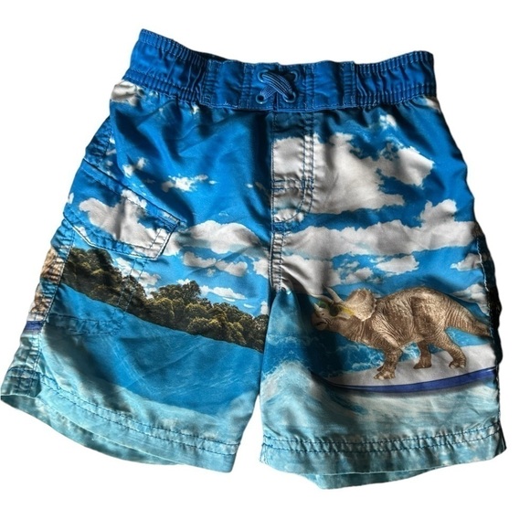 Dinosaur Toddler Swim Trunks - Picture 2 of 8